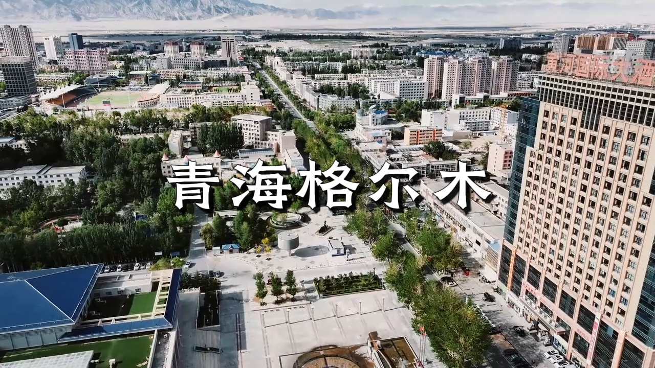 1764834559547684.jpg 1764834559547684.jpg